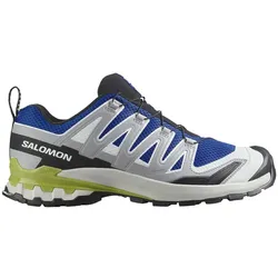 Salomon Herren XA Pro 3D V9  43.3