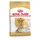 Royal Canin Yorkshire Terrier 8+ 3 kg