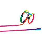 Nobby Katzengarnitur Regenbogenfarbe