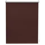 Lichtblick Thermo-Rollo Klemmfix 100 x 150 cm braun