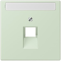 Jung Abdeckung für IAE/UAE LC 969-1 NAUA 218