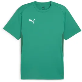 Puma teamGOAL Trikot Herren 05 sport green/white/power green 3XL