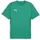 Puma teamGOAL Trikot Herren 05 sport green/white/power green 3XL