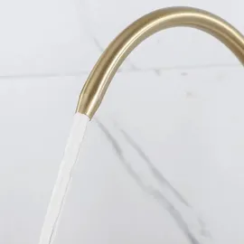 REA Eco Fresh Brush Küchenarmatur Gold