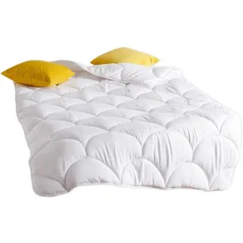 Traumschlaf Basic Faser Ganzjahresdecke medium, Füllung: 100% Polyester 155x200 cm