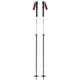 Black Diamond Expedition 2 Skistöcke (Größe 145CM, weiss)