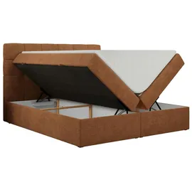 Möbel Kraft Erni 200 x 200 cm H4 Orange