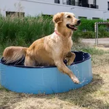 CoolPets Dog Pool - Medium