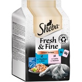 Sheba Fresh & Fine in Sauce - Hochwertiges Katzen Nassfutter - Lachs und Thunfisch (MSC) - Für die tägliche Abwechslung im extra kleinen Portionsbeutel - 36 x 50g