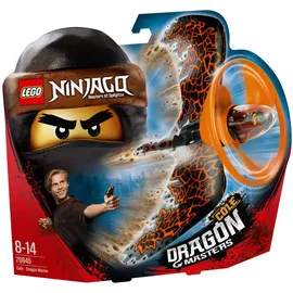 Claire's Ninjago Drachenmeister Cole 70645