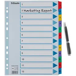Esselte Ordnerregister Vollformat 1-12 farbig