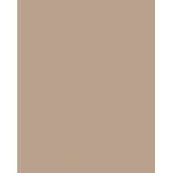 Rako Color One Wandfliese Beige-Braun 20x20 cm glanz WAA1N301.1