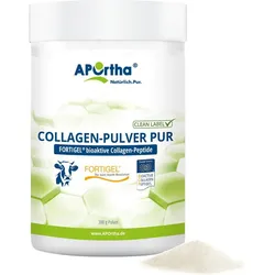 FORTIGEL® B (Rind) Collagen-Pulver - 300 g Pulver - Dose 300