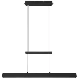 Trio Reality Leuchten LED Pendelleuchte Paros Schwarz matt Switch Dimmer