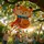 Relaxdays Pinata Fuchs mit Stab und Maske 45 cm x 31 cm x 9 cm Mehrfarbig