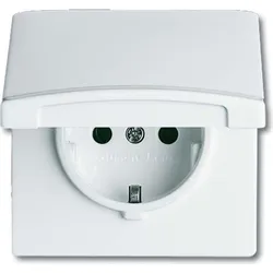 BUSCH-JAEGER Schuko-Steckdoseneinsatz 20 EUGK-32-101