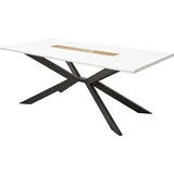 Esstisch mit Spider-Gestell, 210x100cm, in weiß, FALLON-55 - Weiß