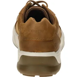 ECCO Herren Byway 2.0 Low Lea (Premium Leder) braun 43 EU
