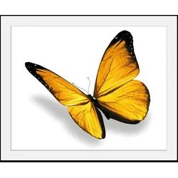 Bild QUEENCE "Maria 3.0", gelb (farbe rahmen: schwarz, farbe bild(er): gelb), B:40cm H:30cm, Acrylglas, Papier, Holz, Bilder, HD Premium Poster-Druck inkl. Holzrahmen