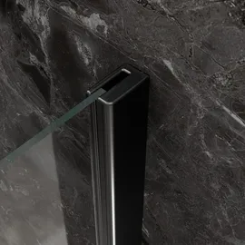 HSK Exklusiv 2.0 Eckeinstieg mit Pendeltür 90 x 90 cm schwarz/transparent 4825018-68-120