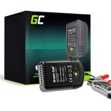 Green Cell ACAGM05 Ladegerät für Fahrzeugbatterie 2/6/12 V Schwarz