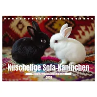 Calvendo Kuschelige Sofa-Kaninchen (Tischkalender 2026 DIN A5 quer), CALVENDO