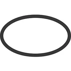 hansgrohe O-Ring 22X1,5mm 98173000