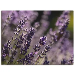 Wandbild ARTLAND "Lavendel", lila (farbe bild(er): lila), B:120cm H:90cm, Canvas, Leinwand, Bilder, als Leinwandbild in verschied. Größen