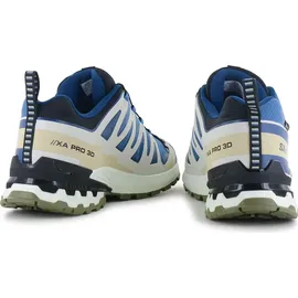 Salomon XA Pro 3D V9 GTX Herren Dark Blue/Icicle/Aloe 42 2/3