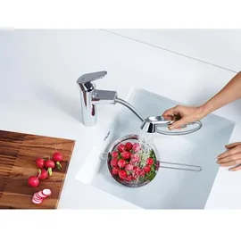 Grohe Eurodisc Cosmopolitan chrom 32257002