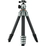 Rollei Lion Rock Traveler Pro