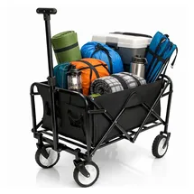 BigDean Bollerwagen faltbar bis 80kg schwarz/grau