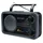 Muse M-06 DS