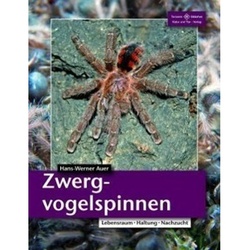 Zwergvogelspinnen - Hans-Werner Auer  Kartoniert (TB)