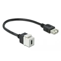 Delock Keystone module - Modulare Eingabe - USB Typ C