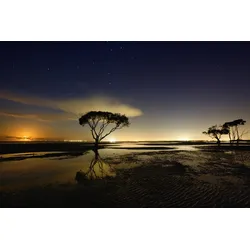 Fototapete PAPERMOON "Photo-Art MEL BRACKSTONE, MONDAUFGANG", bunt, B:3,50m L:2,60m, Vlies, Tapeten