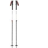 Black Diamond Expedition 2 Stöcke - Black / White - 105-155 cm