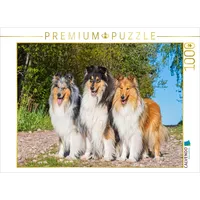 Calvendo Puzzle Die drei anerkannten Colliefarben 1000 Teile Lege-Größe