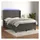 vidaXL Boxspringbett mit Matratze & LED Dunkelgrau 140x200 cm Samt