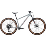 Whyte Bikes Mountainbike WHYTE BIKES "529" Fahrräder Gr. 48 cm, 29 Zoll (73,66 cm), grau Hardtail
