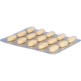 Dr. Scheffler Additiva Magnesium 400 mg Filmtabletten 60 St.