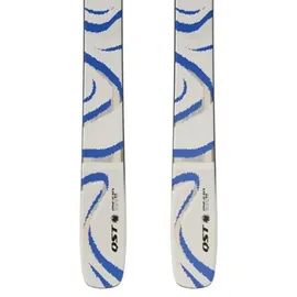 Salomon QST 106 Mehrfarbig 173 cm