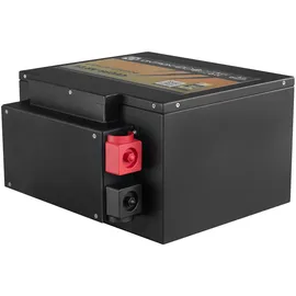 LIONTRON LiFePO4 Akku 12,8V 660Ah 8,45 kWh