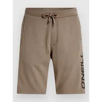 O'Neill Logo Kurze Hose - pumpkin smoke M