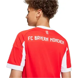 adidas FC Bayern München Heimtrikot 2025/26 Kinder rot Gr. 128