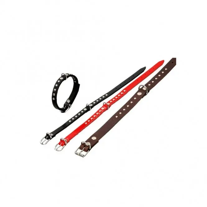 Karlie RONDO Halsband mit Ziernieten - Rot - 27cm / 10mm