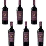 Rotwein Epicuro Negroamaro Puglia IGP 2018 0,75 l