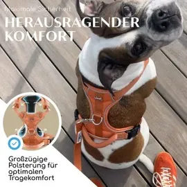 Freudentier Hundegeschirr Orange XL