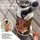 Freudentier Hundegeschirr Orange XL