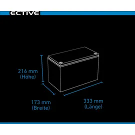 Ective Deep Cycle Versorgungsbatterie 12V 115Ah 1,38 kWh